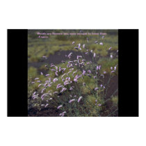 Weeds are flowers too posters by corvus Weeds are flowers too posters
