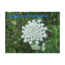 Weeds are Wonderful. postcards by carvit56 Weeds are Wonderful. postcards