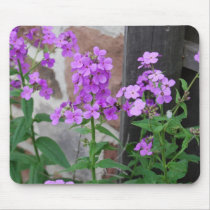 Weeds in the Kitchen Garden mousepads