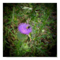 Weedy Bee Poster posters