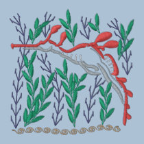 Weedy embroidered shirts