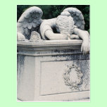 Weeping Angel Postcard postcards