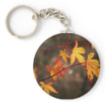 Weeping Autumn Key Chain