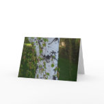 Summer Weeping Birch Thank You Card