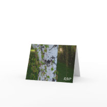 Weeping Birch Wedding RSVP cards