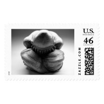 Weeping Buddha postage