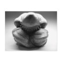 Weeping Buddha postcards by cmiper Weeping Buddha postcards