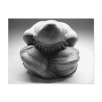 Weeping Buddha postcards by cmiper Weeping Buddha postcards