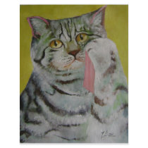 weeping cat letterhead by zhenlian weeping cat letterhead