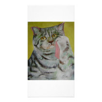 weeping cat photo cards