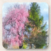 Weeping Cherry and Evergreen cork coasters