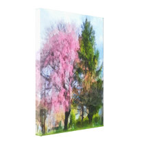 Weeping Cherry and Evergreen canvas prints