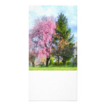 Weeping Cherry and Evergreen photo cards