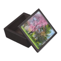 Weeping Cherry and Evergreen premium gift boxes