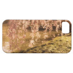 Weeping Cherry Blossoms in Sunlight iPhone 5 Cover