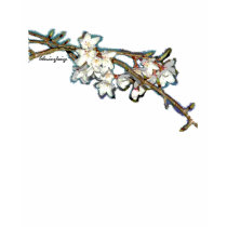 Weeping Cherry t-shirts