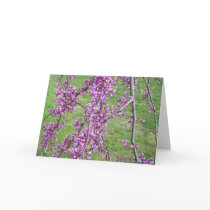 Weeping Redbud Note Card by artistinsane Weeping Redbud Note Card