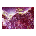 Weeping Rocks posters