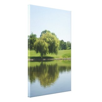 Weeping willow canvas