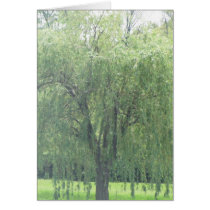 Weeping WIllow Card