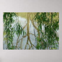 Weeping Willow Photography on Canvas posters