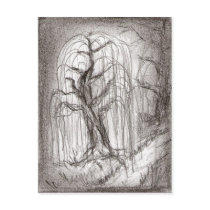 Weeping Willow postcards