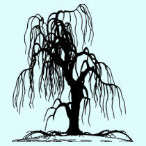 WEEPING WILLOW TREE T SHIRT