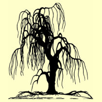 WEEPING WILLOW TREE T SHIRT