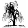 WEEPING WILLOW TREE T SHIRT