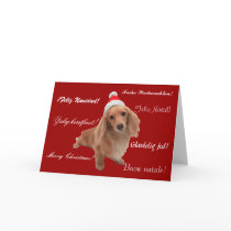 Weihnachtskarte "Dackel" Weihnachten cards