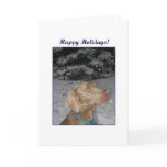 Weim Christmas Card