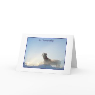Weim Sympathy Card card