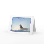 Weim Sympathy Card