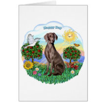 Weimaraner #2 greeting card