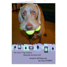 Weimaraner Birthday Greeting Card