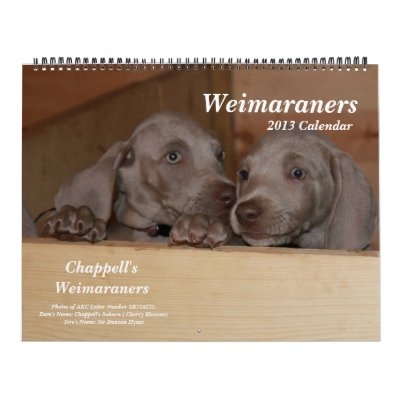 Weimaraner Calendar