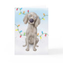 Weimaraner Christmas cards by cartoondogs Weimaraner Christmas cards