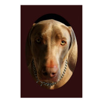 Weimaraner - Determination posters by mikeysmommy Weimaraner - Determination posters