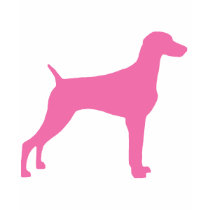 Weimaraner Dog (in pink) t-shirts by dogsandhorses Weimaraner Dog (in pink) t-shirts