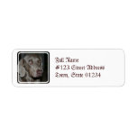 Weimaraner Dog Mailing Label