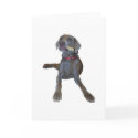 Weimaraner Greeting Cards by bhughes1uga Weimaraner Greeting Cards