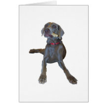 Weimaraner Greeting Cards