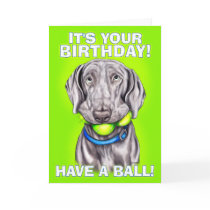 Weimaraner Have a Ball cards