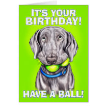 Weimaraner Have a Ball cards