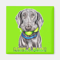 Weimaraner Have a Ball magnets