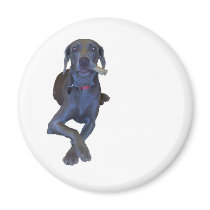 weimaraner magnet