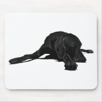 Weimaraner mousepads by bhughes1uga Weimaraner mousepads
