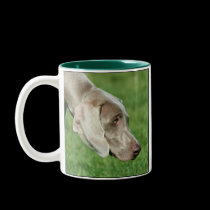 Weimaraner Mug mugs
