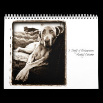Weimaraner Nation : A Study of Weimaraners calendars