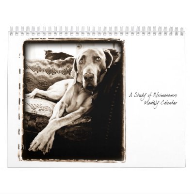 Weimaraner Nation : A Study of Weimaraners Wall Calendar Weimaraner Nation : A Study of Weimaraners Wall Calendar